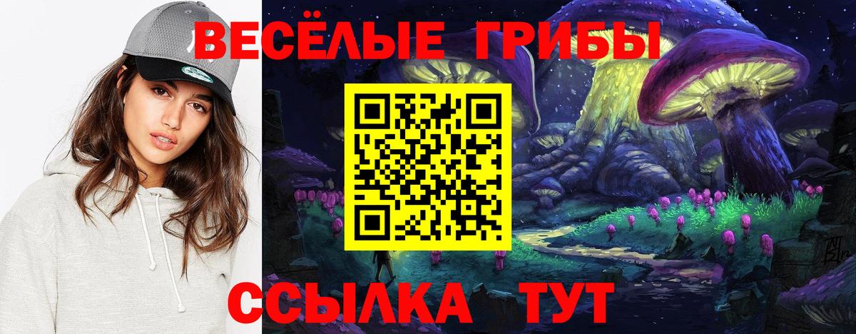 Родники  купить наркотики сайты  Вход с VPN  Галлюциногенные грибы Psilocybe 